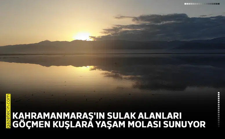 Kahramanmaraş'ın sulak alanları göçmen kuşlara yaşam molası sunuyor