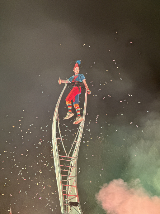 Devlet Tiyatroları Antalya 15. Uluslararası Tiyatro Festivali 2