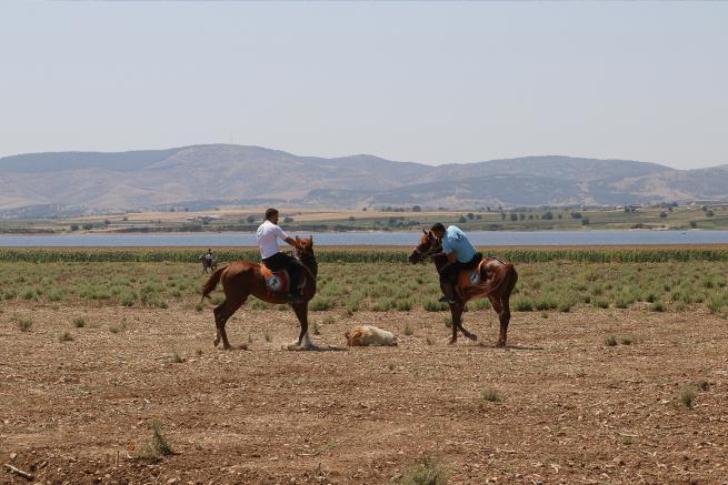 Kahramanmaraş 1. Rahvan At Yarışları 1