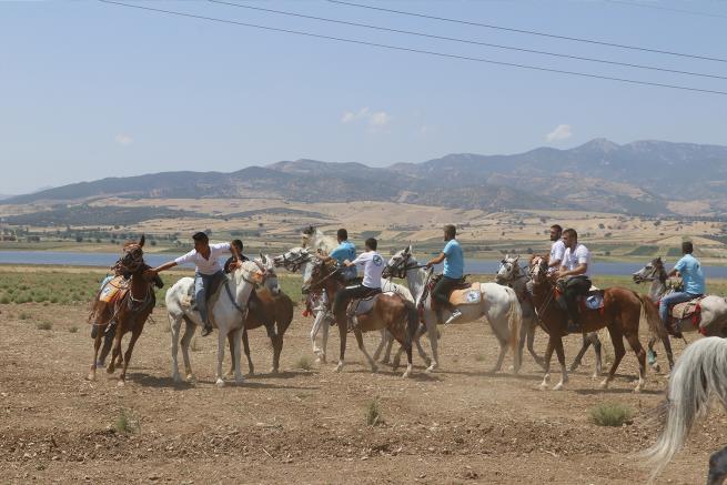 Kahramanmaraş 1. Rahvan At Yarışları 2