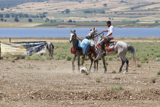 Kahramanmaraş 1. Rahvan At Yarışları 3