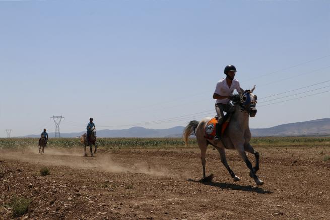 Kahramanmaraş 1. Rahvan At Yarışları 8