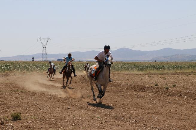 Kahramanmaraş 1. Rahvan At Yarışları 9