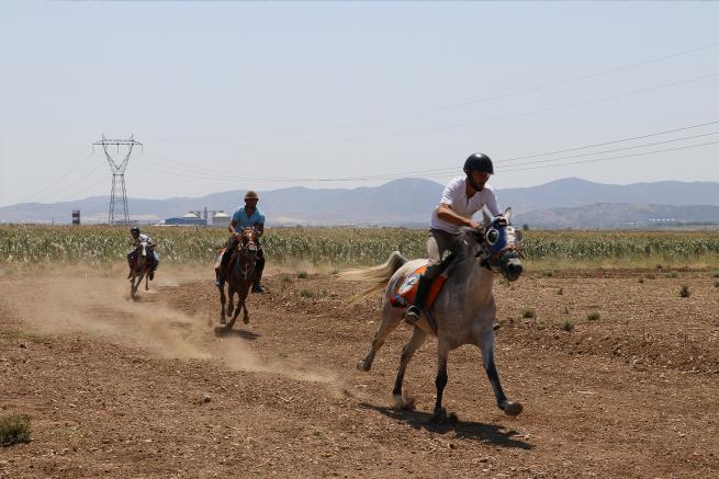 Kahramanmaraş 1. Rahvan At Yarışları 10