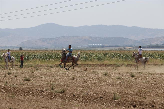 Kahramanmaraş 1. Rahvan At Yarışları 12