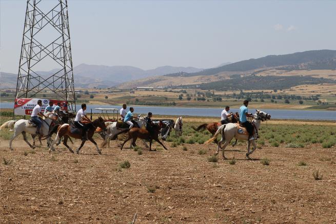 Kahramanmaraş 1. Rahvan At Yarışları 13