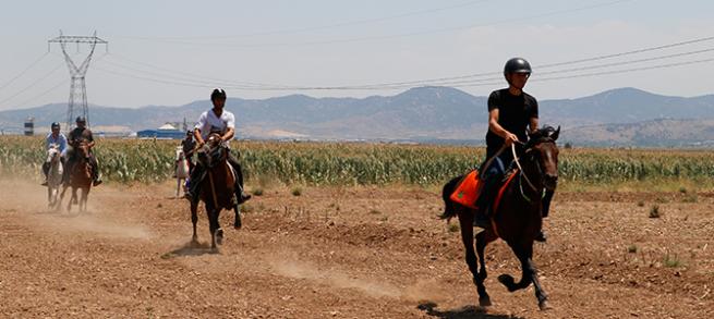 Kahramanmaraş 1. Rahvan At Yarışları 14