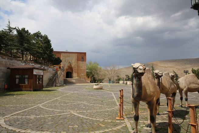 Eshab-ı Kehf Külliyesi 2