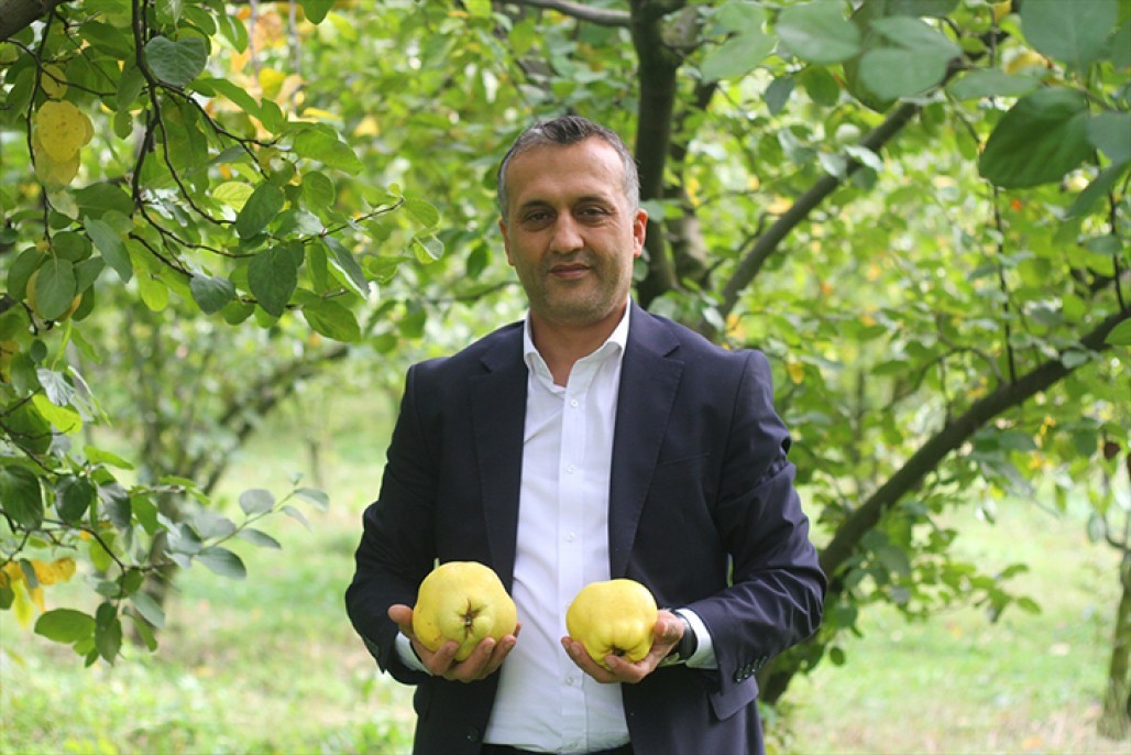 Şahinkaya ayvası 17