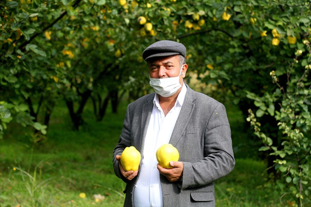 Şahinkaya ayvası 19