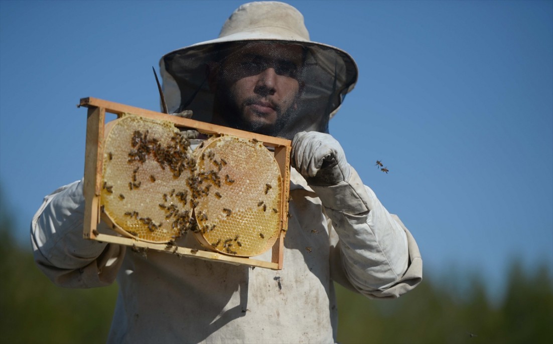 Kahramanmaraşlı bal üreticileri 1