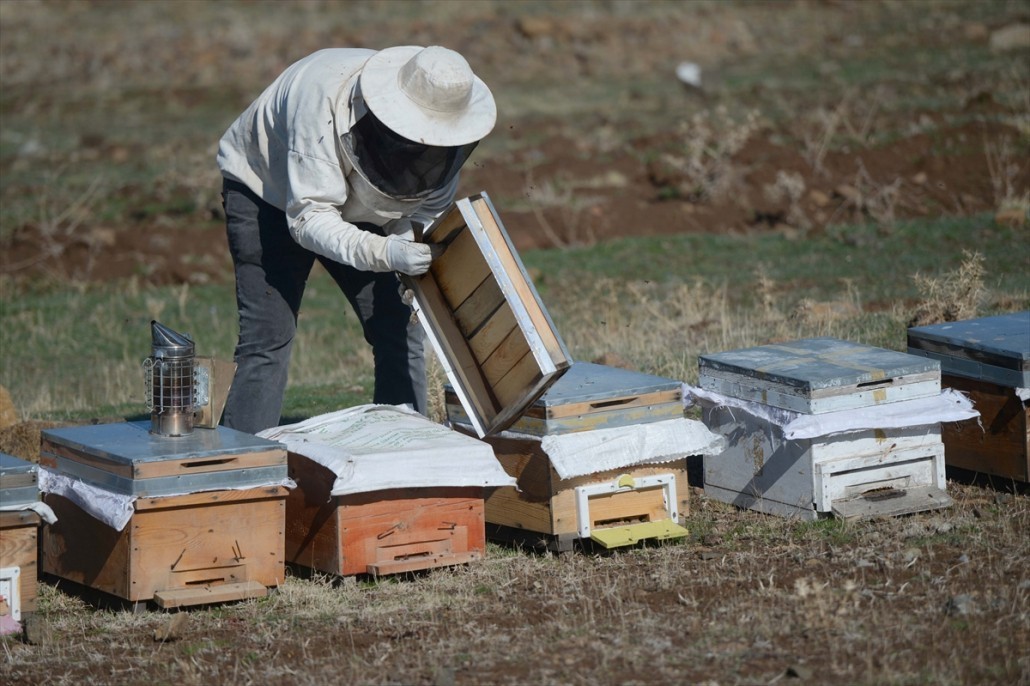Kahramanmaraşlı bal üreticileri 5