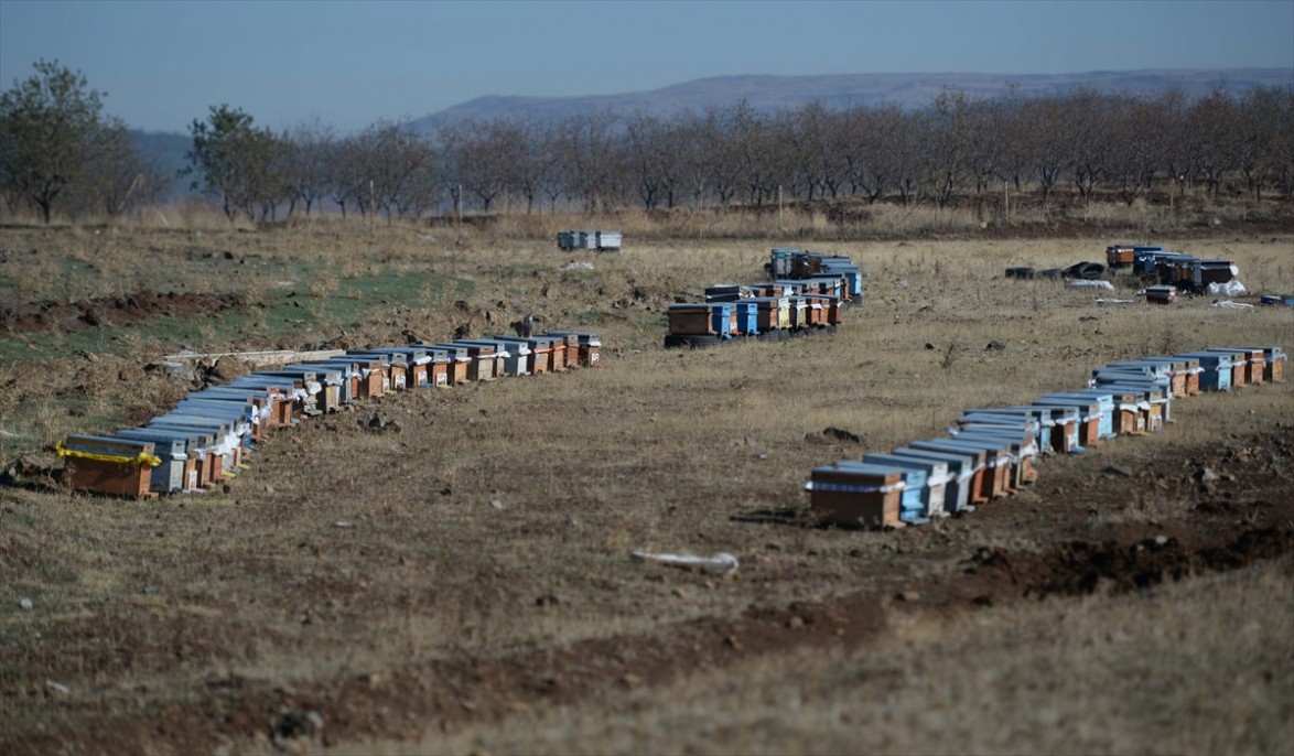 Kahramanmaraşlı bal üreticileri 6