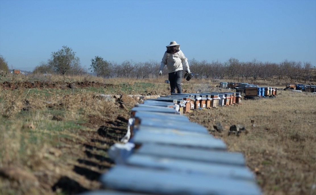 Kahramanmaraşlı bal üreticileri 7