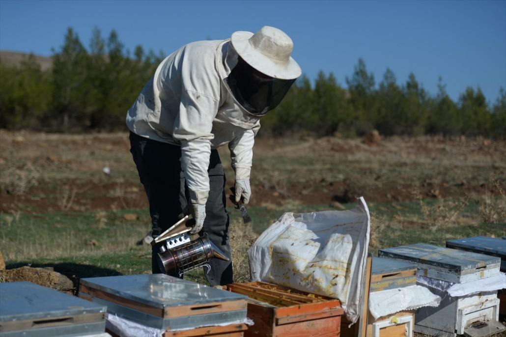Kahramanmaraşlı bal üreticileri 9
