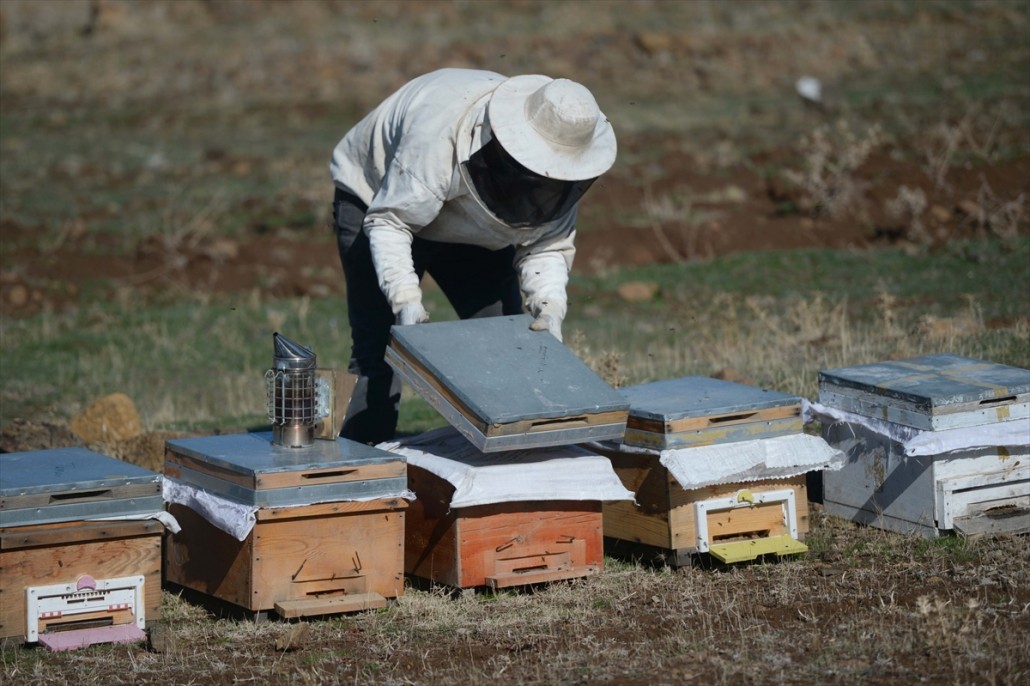 Kahramanmaraşlı bal üreticileri 10