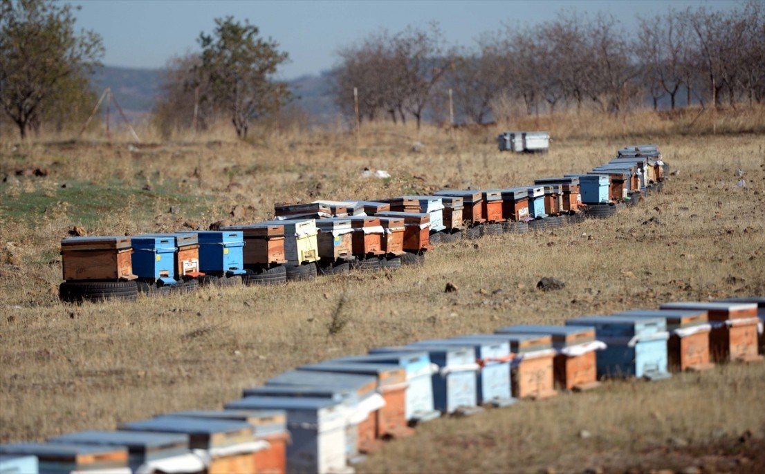 Kahramanmaraşlı bal üreticileri 12
