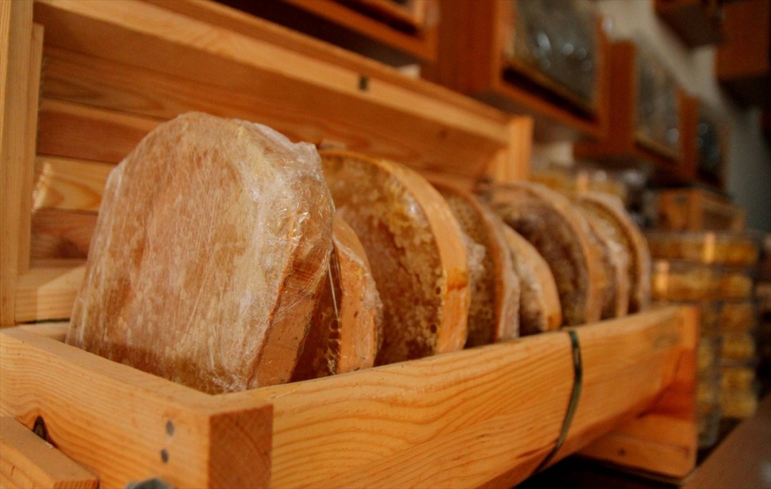 Kahramanmaraşlı bal üreticileri 16