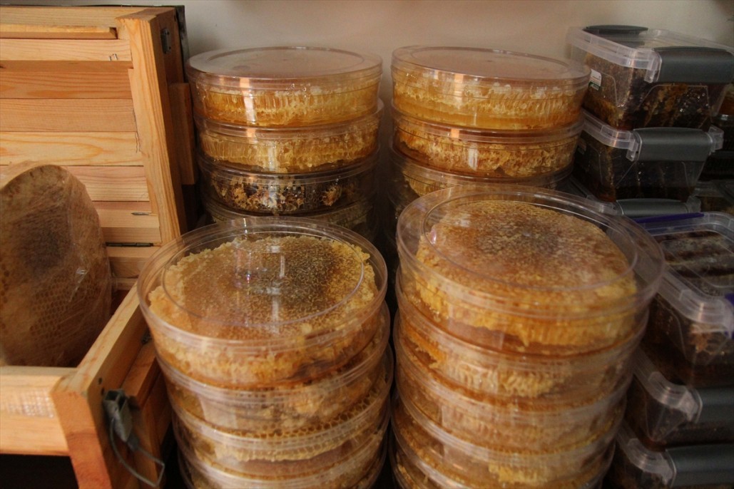 Kahramanmaraşlı bal üreticileri 17