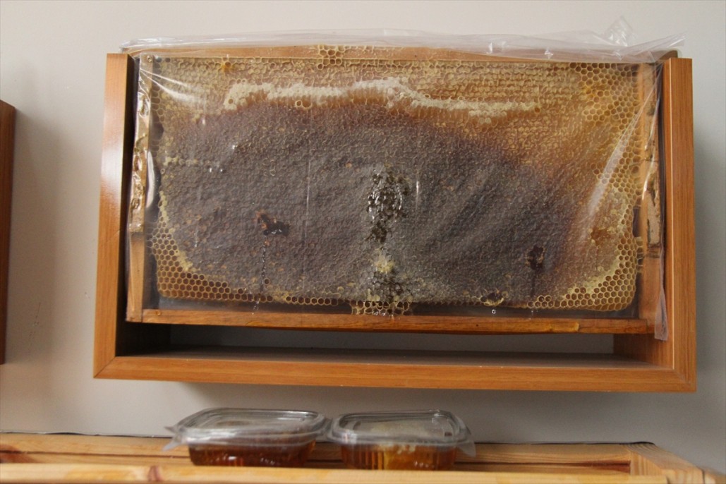 Kahramanmaraşlı bal üreticileri 19