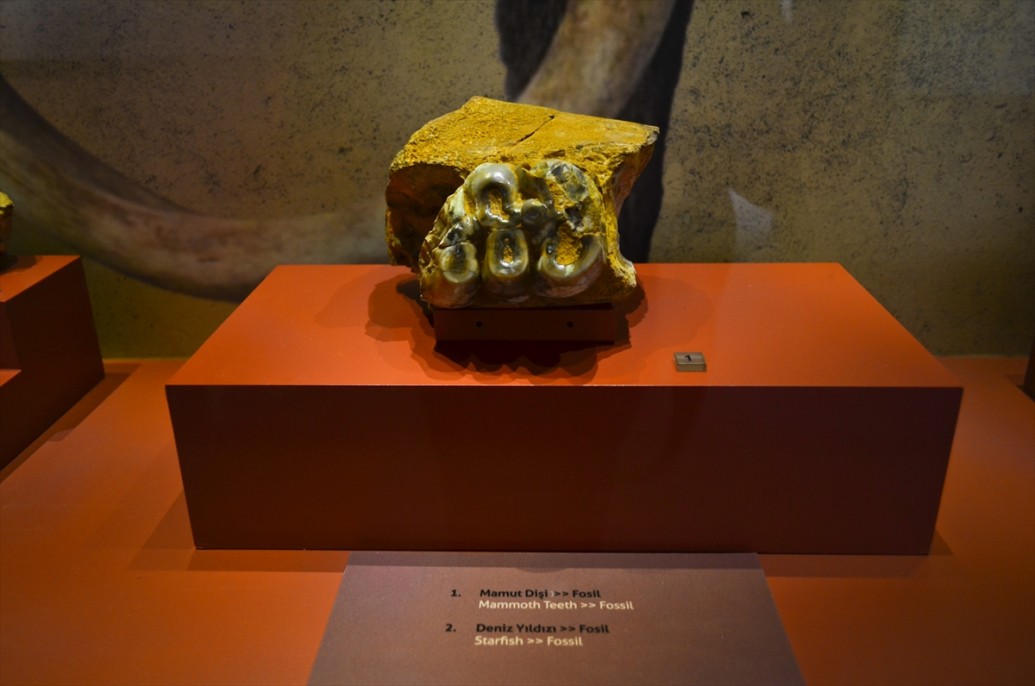 Müzeye dönüştürülen eski adliye binası tarihe ışık tutuyor 15