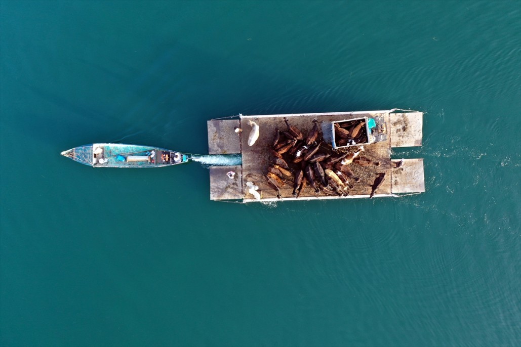 Yörüklerin Mada Adasını geçiş anı 7