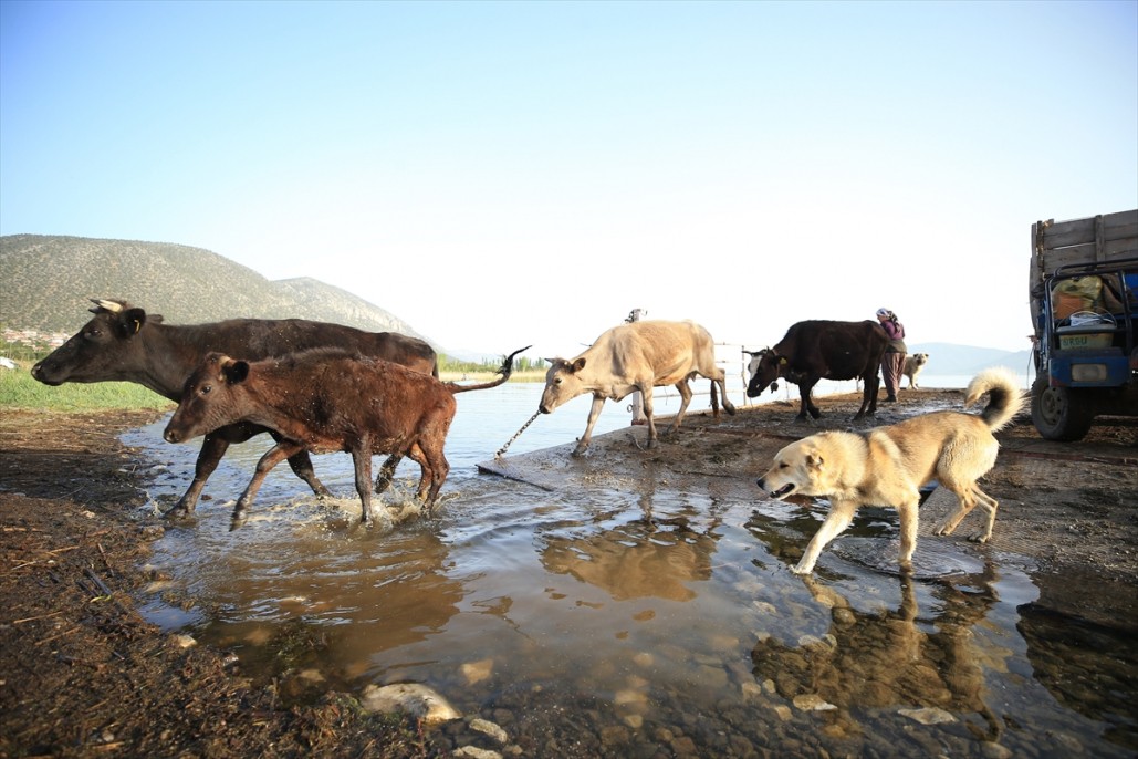 Yörüklerin Mada Adasını geçiş anı 11