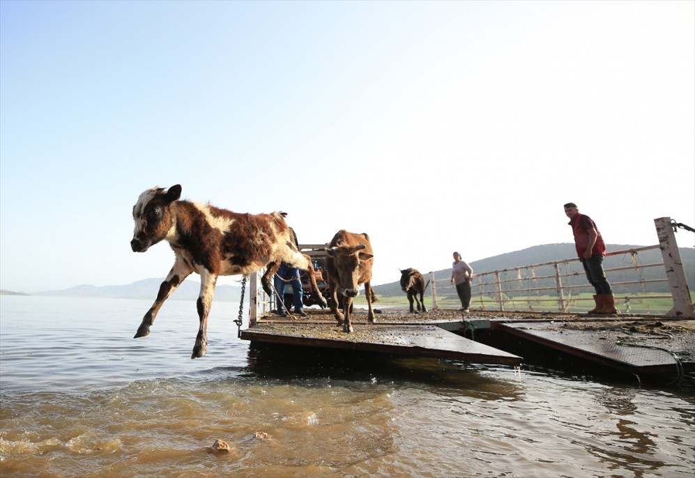 Yörüklerin Mada Adasını geçiş anı 16