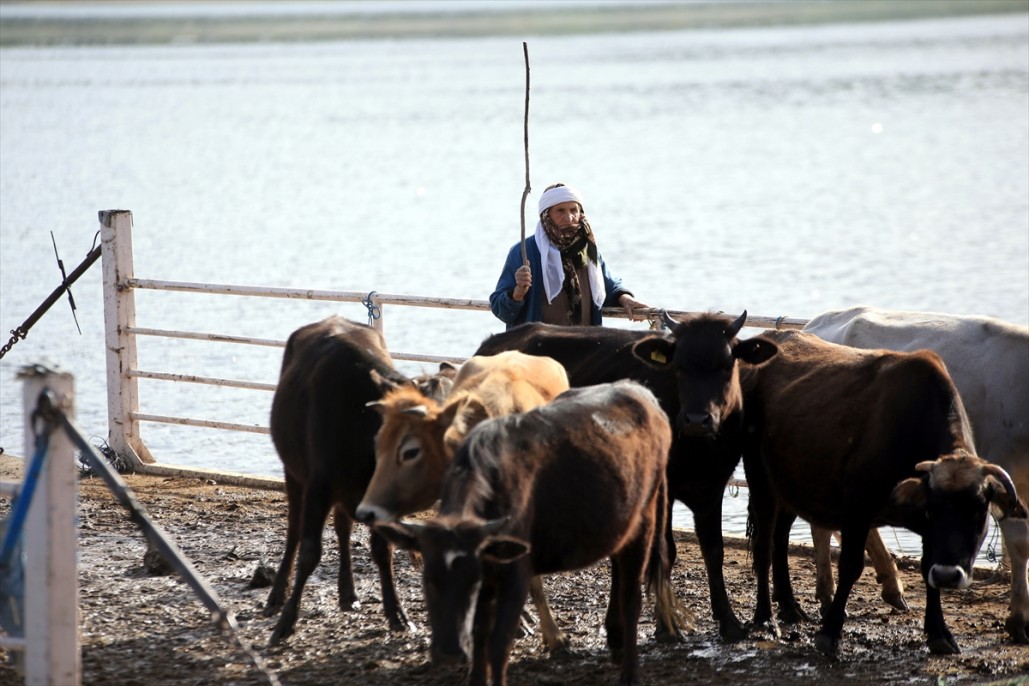Yörüklerin Mada Adasını geçiş anı 17