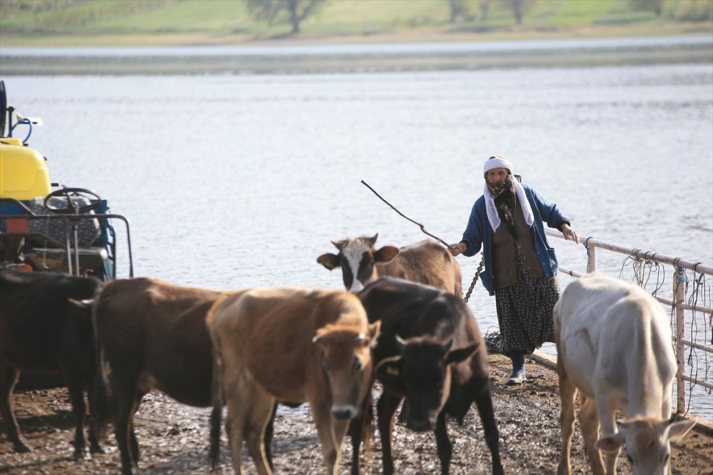 Yörüklerin Mada Adasını geçiş anı 23