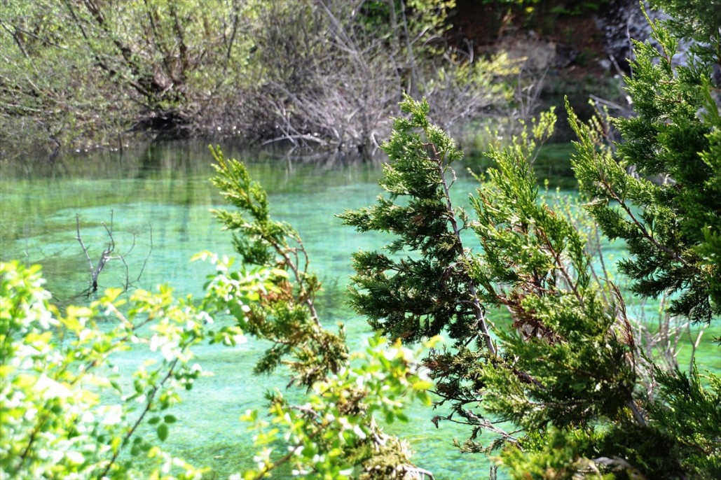 Kahramanmaraş turkuaz göl ü 4