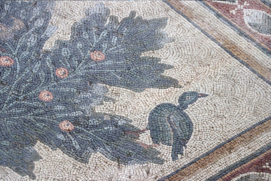 Kahramanmaraş Germanicia Antik Kenti 13