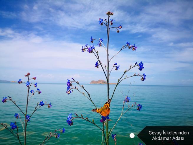 Dünyada Van, Ahirette İman! 3