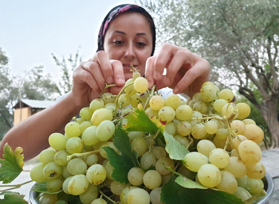 Şifa deposu üzüm pekmezinin sofralara yolculuğu 3