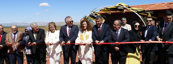 Dünyanın en büyük tek parça lavanta bahçesinde Arı Evi açıldı